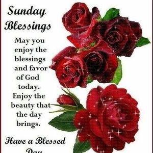 Meet your Posher, Janis